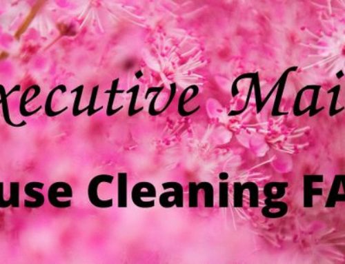 FAQs Of An Executive Maids House Cleaner