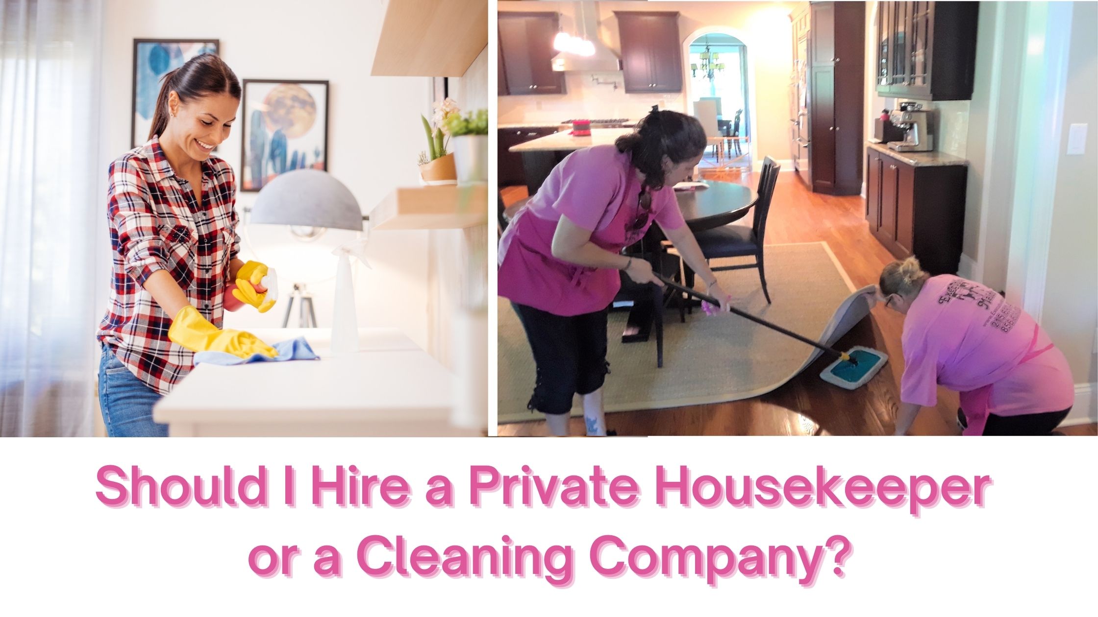 Private House Cleaner or Professional Cleaning Company
