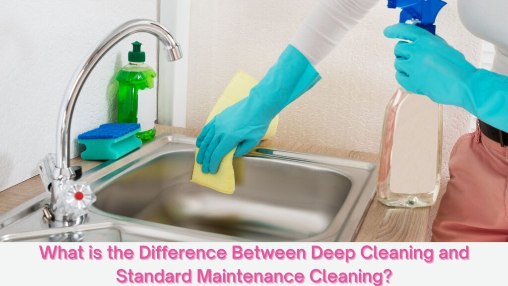 Deep Cleaning or Basic Cleaning