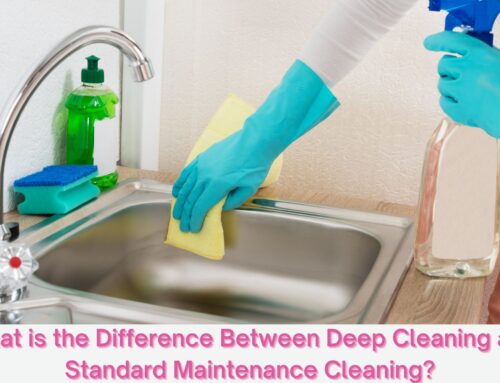 What is the Difference Between Deep Cleaning and Maintenance Cleaning