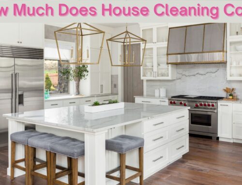 What is the Cost of House Cleaning? 