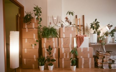 Move-In Cleaning in Wayne: A Fresh Start You Can Feel