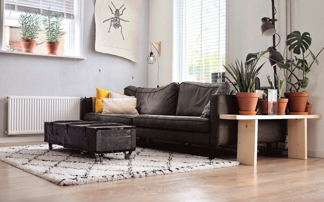 Wayne’s Best House Cleaning: A Cleaner Home, Every Time